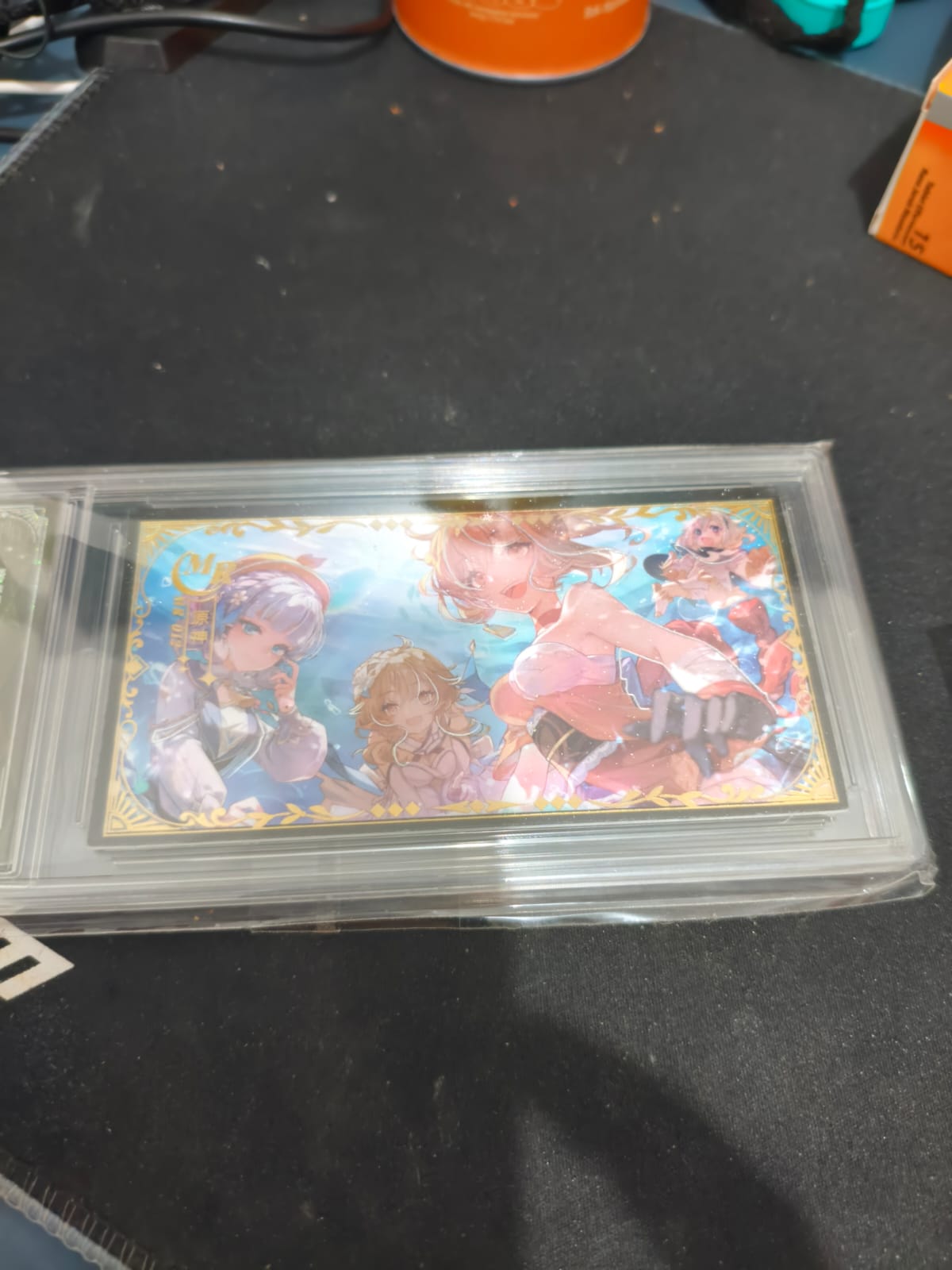 CCG kartu slab panjang