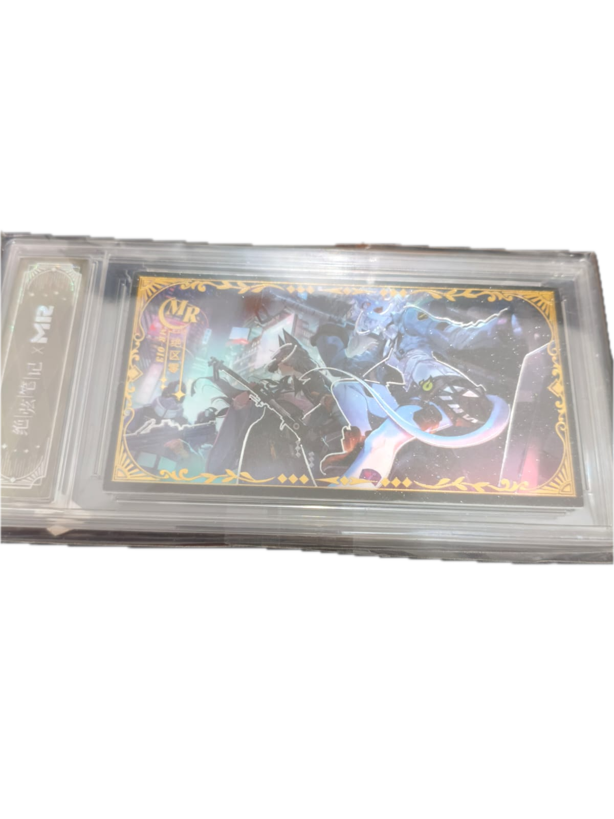 CCG kartu slab panjang 2